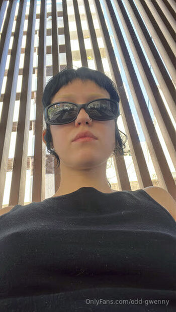 odd-gwenny